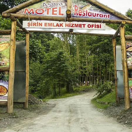 Asina מוטל ספנג'ה