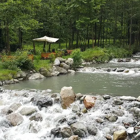 Asina * Sapanca