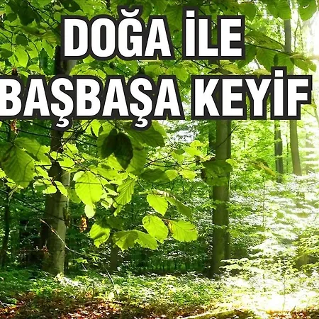 Asina מוטל ספנג'ה