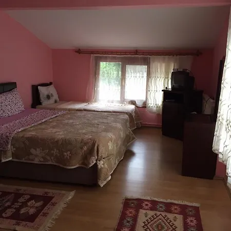 Motel Asina Sapanca