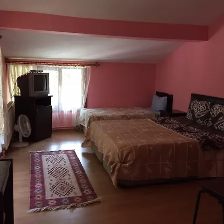 Motel Asina