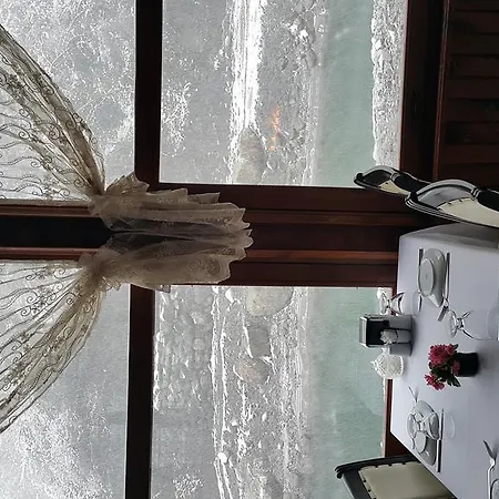 Asina מוטל ספנג'ה