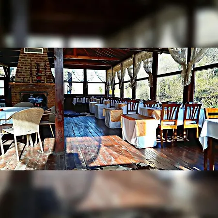 Asina מוטל ספנג'ה