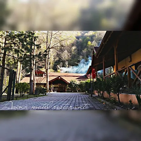 Motel Asina