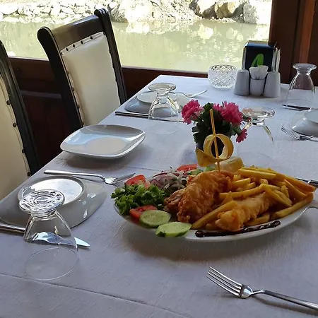 Asina מוטל ספנג'ה