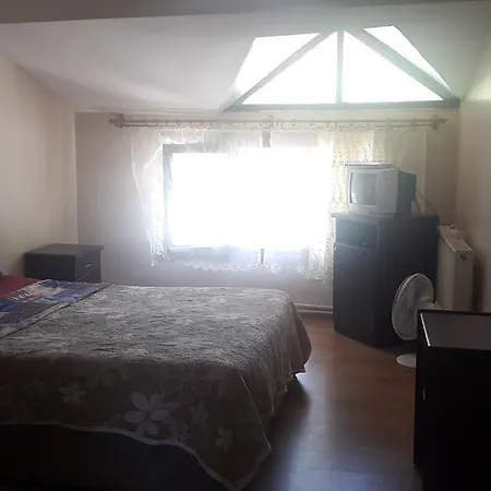 Motel Asina *