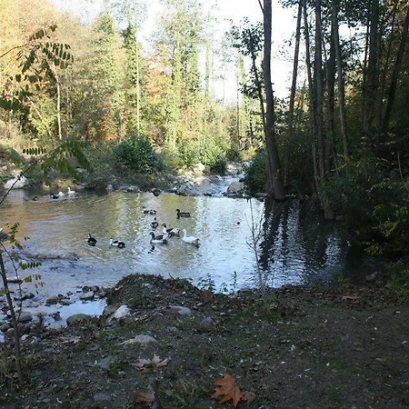 מוטל Asina ספנג'ה